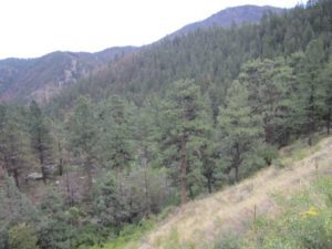 problems with the exchanges/marketplaces have made it tough to see the forest for the trees with ACA implementation