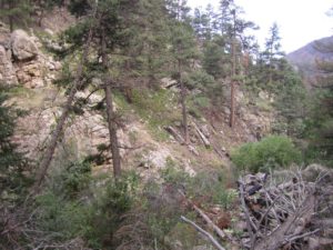 Colorado HSA health insurance plans