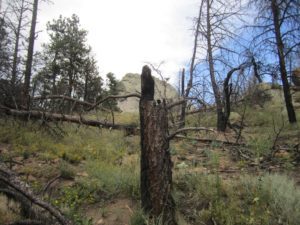 Government Shutdown: Is The Republican "Plan" Actuarially Feasible?