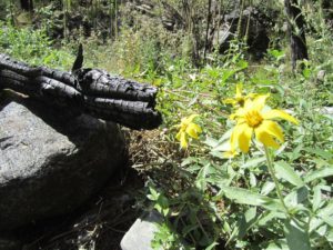 Getting ACA Information and Ignoring "Obamacare" Misinformation