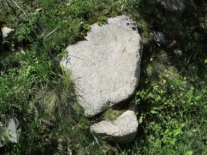 Obamacare and the Government Shutdown