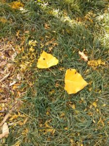 5 improvements to the ACA